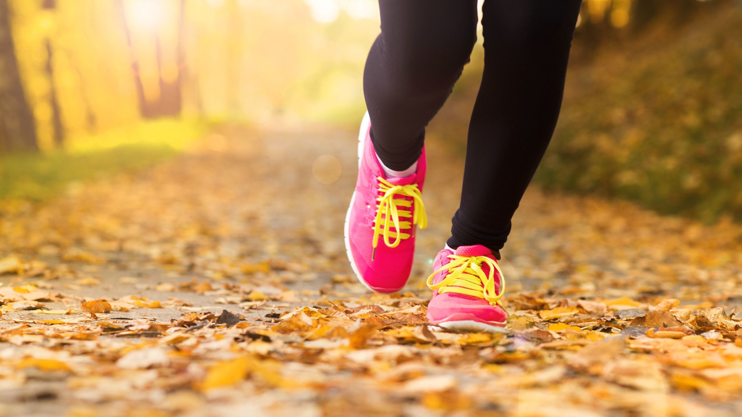 3 ejercicios básicos para prevenir las varices 3 ejercicios básicos para prevenir las varices