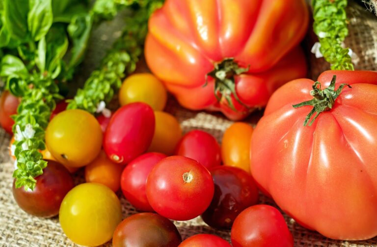 Tomates para tus venas varicosas Tomates para tus venas varicosas