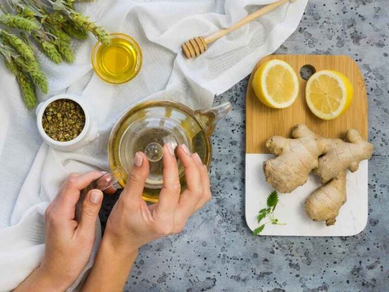 Infusiones frías para mejorar tu circulación en verano Infusiones frías para mejorar tu circulación en verano